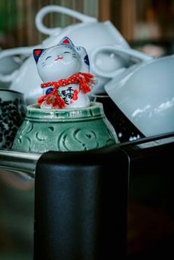hợp pháp Sodo